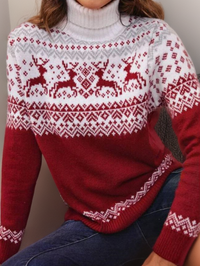Danielle | Rollkragenpullover mit auffälligem geometrischem Muster